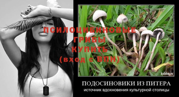 a pvp Арсеньев