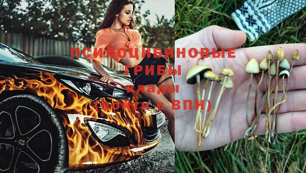 молекула духа Армянск