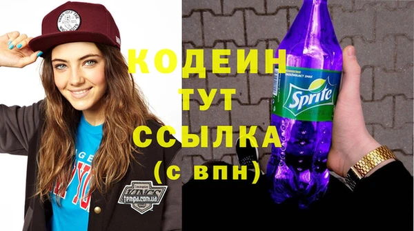 прущий лед Аркадак