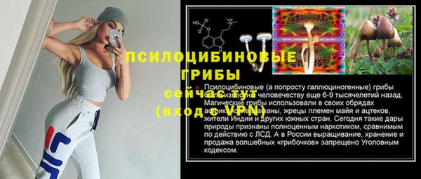молекула духа Армянск