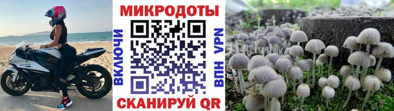 цены наркотик  KRAKEN онион  Галлюциногенные грибы Psilocybe  Долгопрудный 