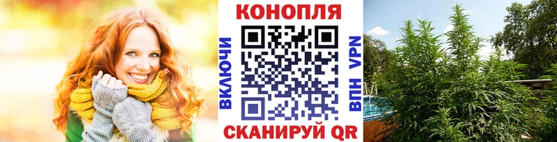 где найти   Долгопрудный  МЕГА ONION  Канабис SATIVA & INDICA 